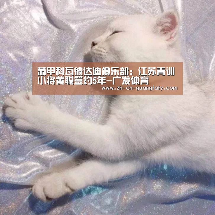 广发体育