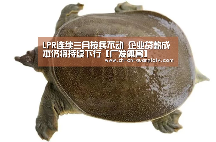 LPR连续三月按兵不动 企业贷款成本仍将持续下行【广发体育】(图1) 广发体育